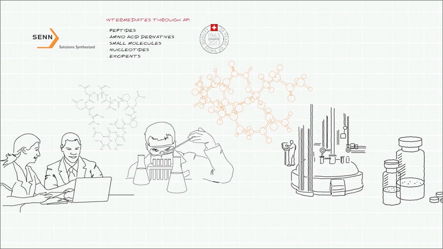 Senn Overview